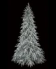 9' Flocked Norfolk Pine Tree with Warm White LED Fairy Lights -  LIGHTS ON IN DARK