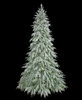 C-250554 - 9' Flocked Norfolk Pine Tree - LIGHTS OFF