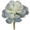 6" W FireSafe Frosted Blue/Grey Echeveria Succulent