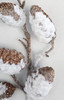 Close-up of Snowy Pinecone Spray with Glitter