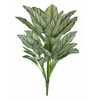 AR-252020 - Fire Retardant
24" Natural Touch Calathea Whitestari Bush x 6
Green/White