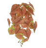 A-252060 - Natural Touch
18" Brown/Green Coral Caladium Bush