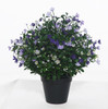 AUV-250265 - 19" UV Purple/Lilac Baby's Breath Bush