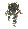 AR-252160 - FIRE RETARDANT
24" Natural Touch Peperomia Bush x 8 - Forest Green