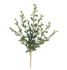 A-252290 - 11" Ht  String of Banana Succulent
Tutone Green