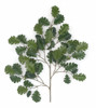23" Fire Retardant Green Oak Spray