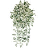 PR-250390 - 41" L Marble Queen Pothos
Variegated Green/White