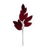 P-260554 - Burgundy