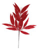 A-260242 - Red