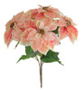 P-260662 - Light Pink/Cream