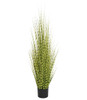 AR-250420 - 48" Potted Zebra  Grass Bush 
Green/Yellow