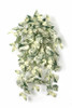 PR-250375 - 36" Variegated Green/Yellow/Cream