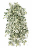 PR-250385- 48" Variegated Green/Yellow/Cream