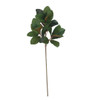 A-261170 - 35" Natural Touch Magnolia Spray