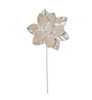 Close up of Pearlescent Champagne Ivory Poinsettia