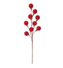 P-260064 - Red