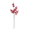 PF-260116 - Red