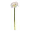 P-260770 - White