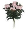 A-253244 -  Pink