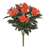 A-253240 - Coral