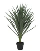 AR-252250 - 36" Yucca Plant - FIRE RETARDANT