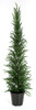 A-132410
33" Potted Plastic Pine