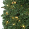 Closeup of Monroe Pine Tips