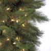 C-81504
Mixed Sheridan Pine
5.5mm Warm White LED Lights