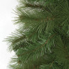 Closeup of Mixed Mika Pine Foliage