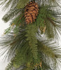 Closeup of Pine Foliage and Pine Cones