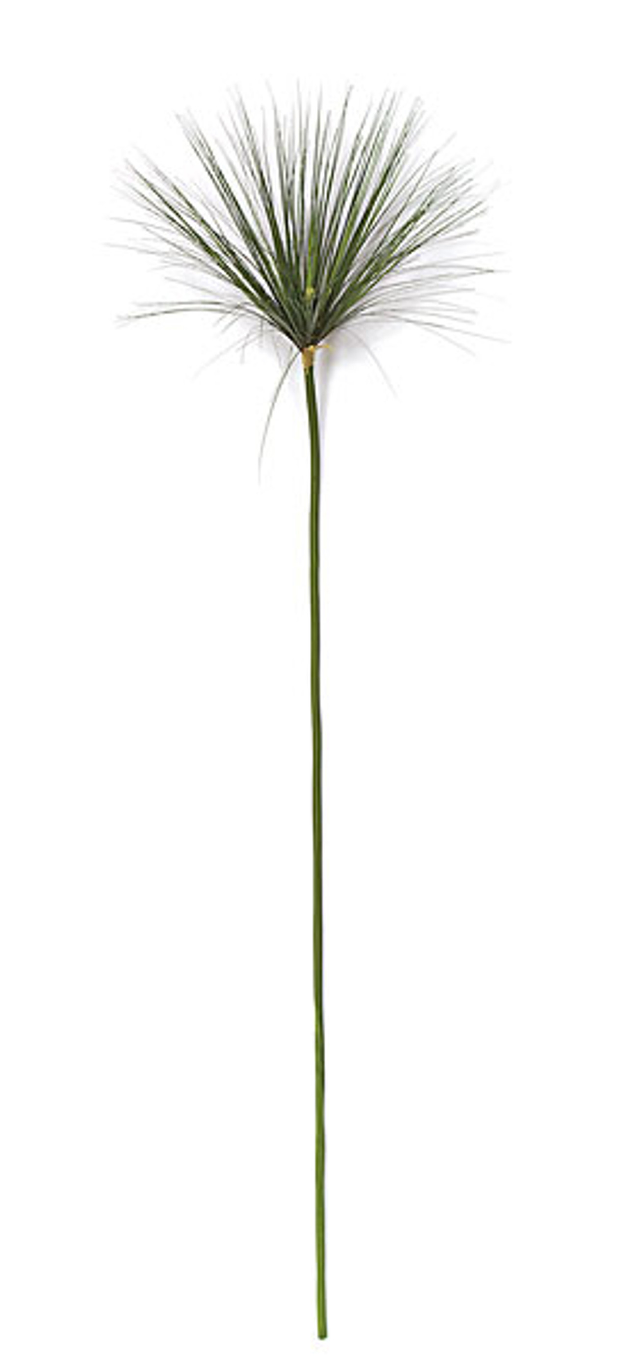 4 Foot Artificial Papyrus Plant Autograph Foliages