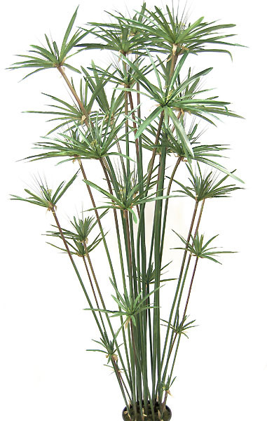 4 Foot Artificial Papyrus Plant Autograph Foliages