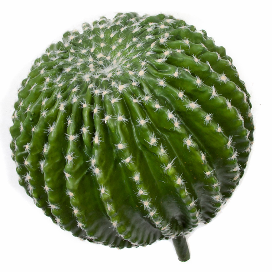 13 Inch Barrel Cactus with Needles | Autograph Foliages
