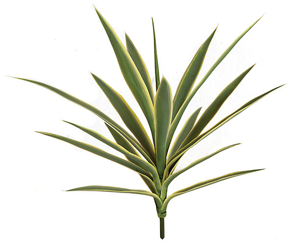 23 Inch UV Yucca Plant - Burgundy or Green/Yellow | Autograph Foliages