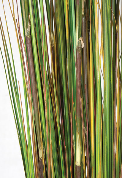 72 Inch PVC Onion Grass with Equisetum Green/Brown Autograph Foliages