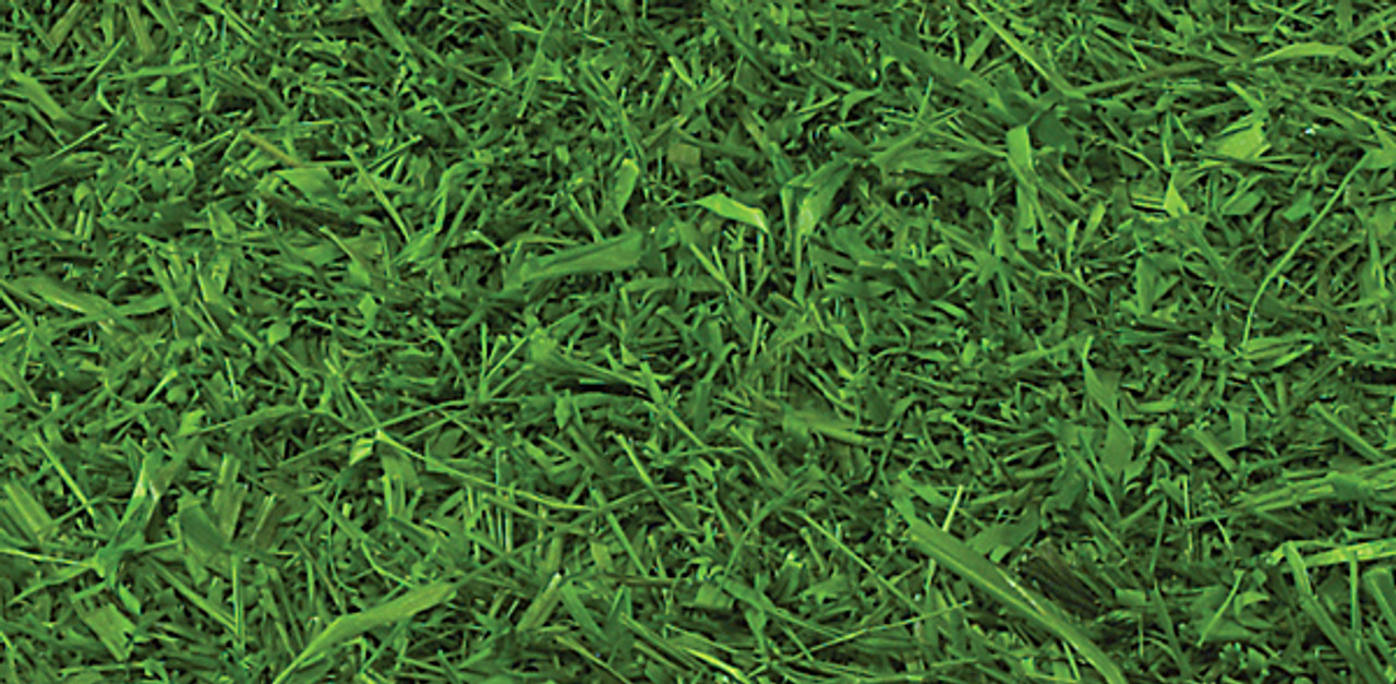raffia grass for sale