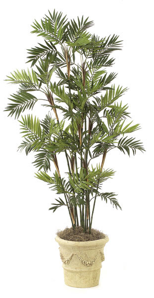 ニコニコさん。専用　SALOMON 18 Mirage Palm Tree 7 Foot Parlour Palm Tree | Autograph Foliages