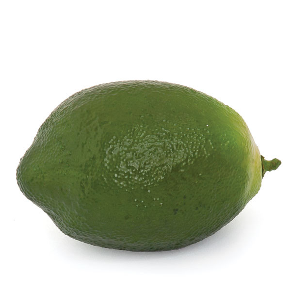 lime green foams preschool