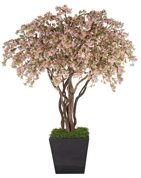 8 Foot Custom Cherry Blossom Tree - Pink or White Colors