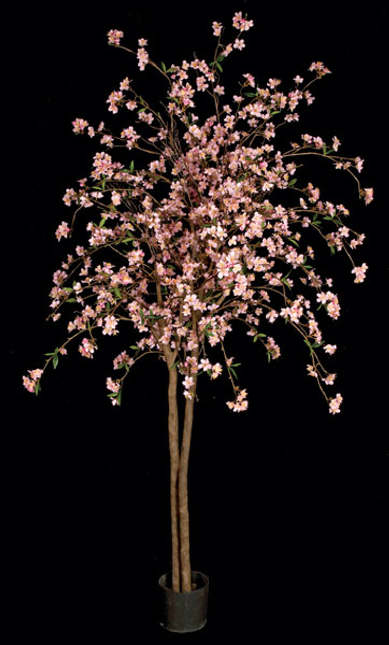 6.5 Foot Cherry Blossom Tree - Pink or Cream/White