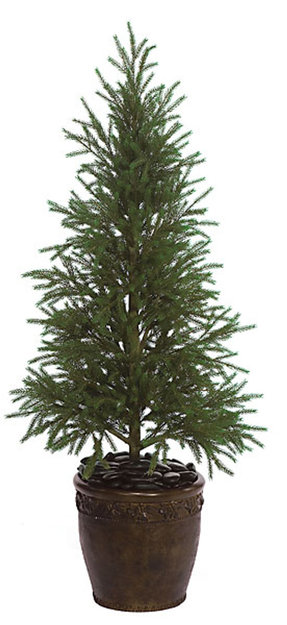 4 Foot Picea Spruce Tree Autograph Foliages