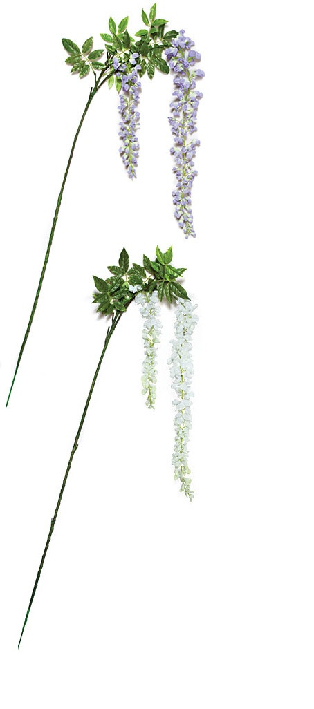wisteria出品 72 Inch IFR Wisteria Branch - Purple or White (sold by piece