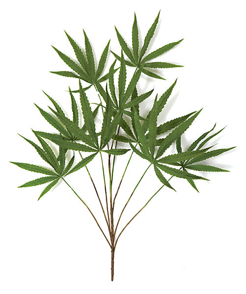 28 Inch Marijuana Branch (SOLD PER PIECE) | Autograph Foliages