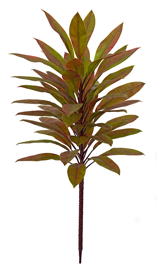 3 Ft. or 5 Ft. Polyblend Outdoor Artificial Cordyline Plant Green/Red