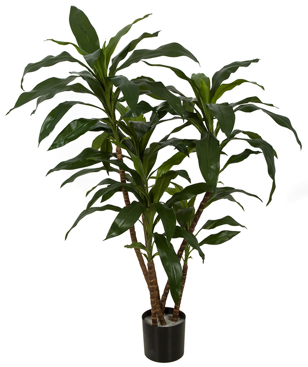 3' Dracaena Plant x 5 on Wood Trunk | Regular or FireSafe Foliage ...