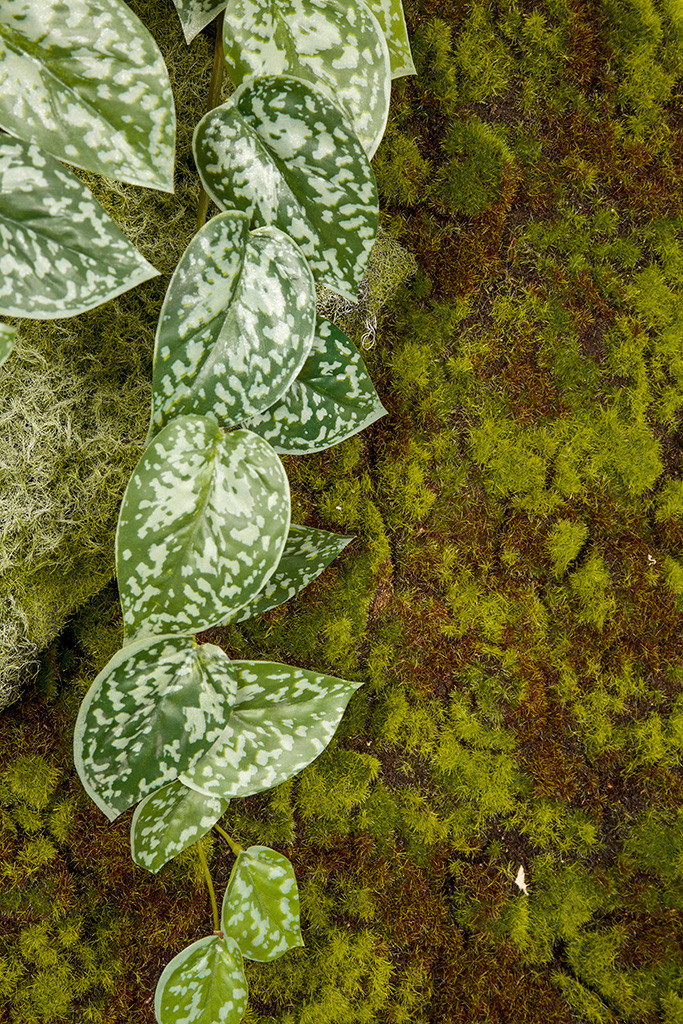 40 Inch L x 20 Inch W Green/Brown Flocked Moss Carpet | Autograph