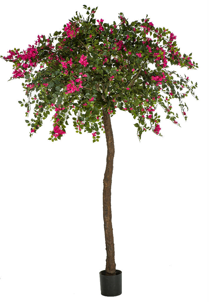 toom olivenbaum 150 jahre Knstlicher Olivenbaum 150 cm gnstig online kaufen
