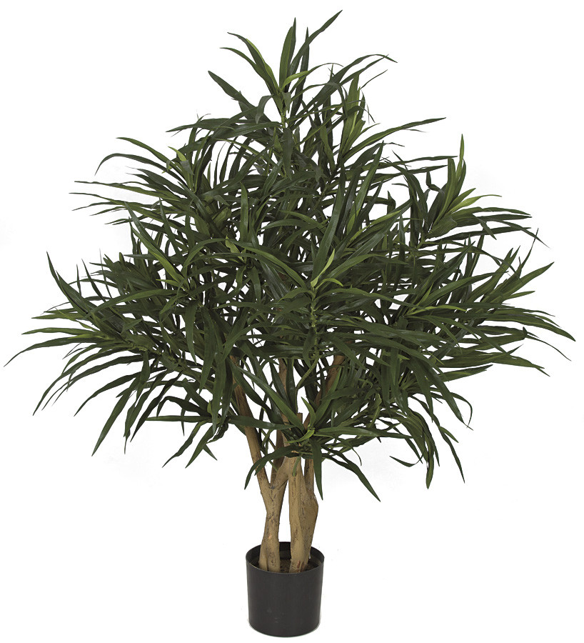 3 Foot FireSafe Dracaena Reflexa Tree | Autograph Foliages