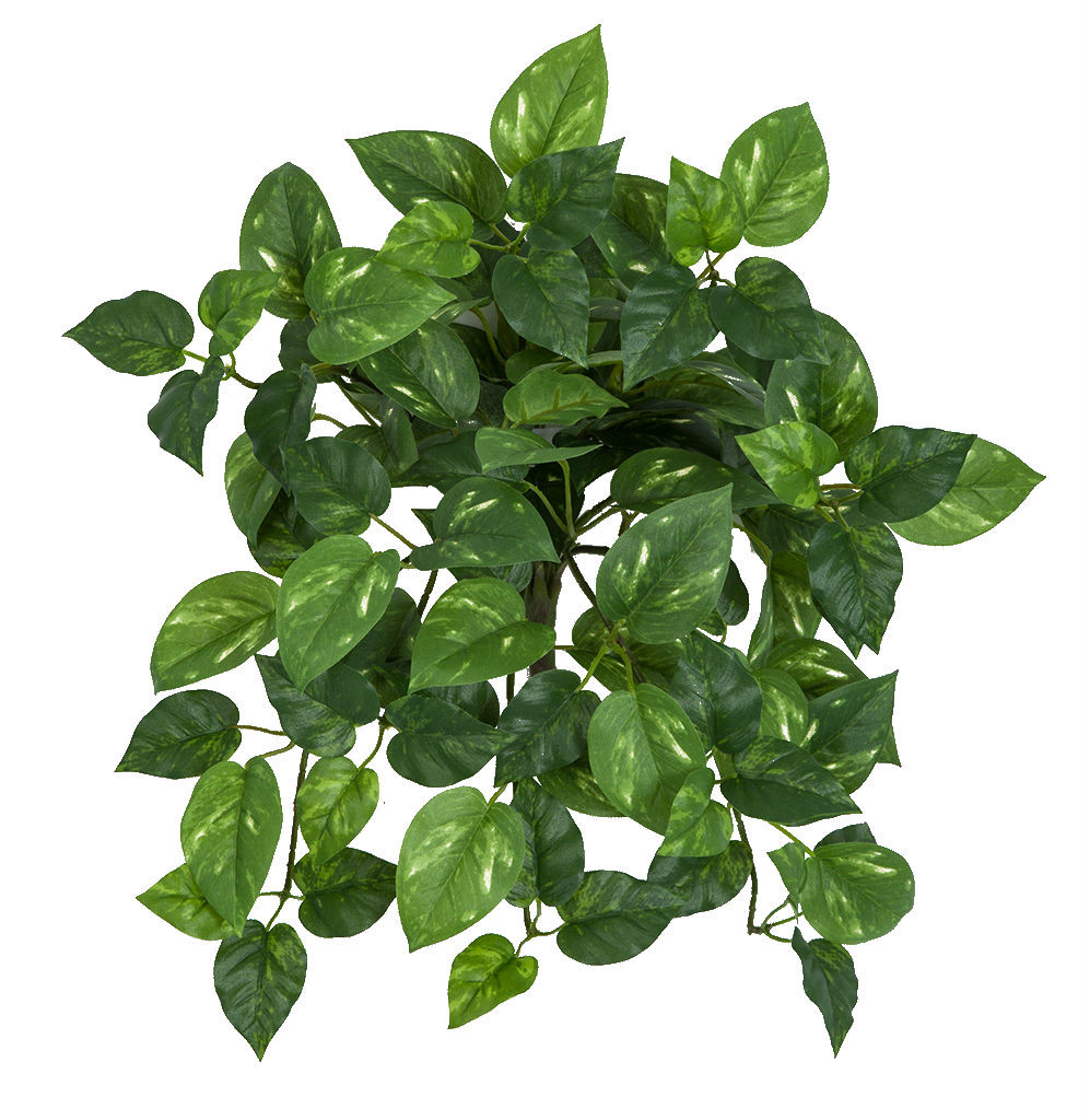 14" Artificial Pothos Bush | Mini Artificial Greenery Wholesale | Autograph  Foliages