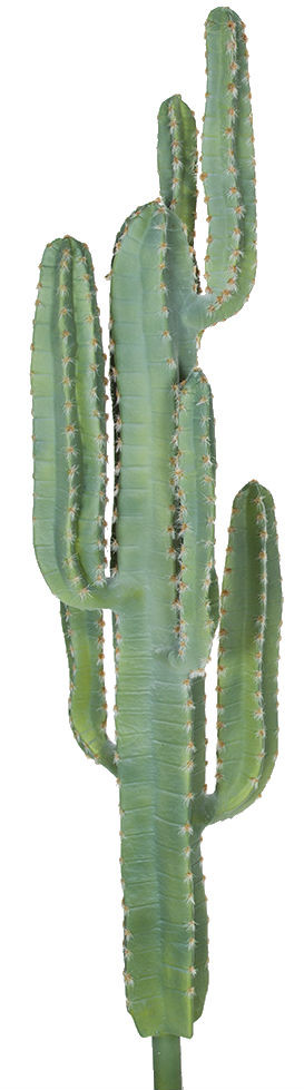 Desert Green Saguaro Cactus W/Light Needles | 54